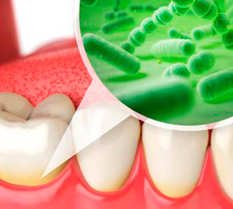 Bactérias dentárias são transmitidas de pais para filhos?