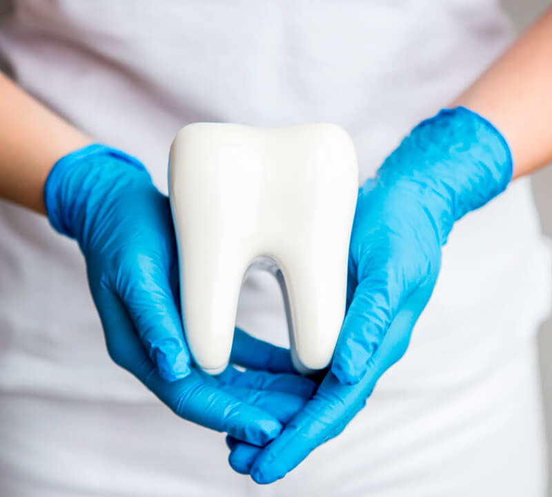 Proteína altera os ossos por causa pela perda dental